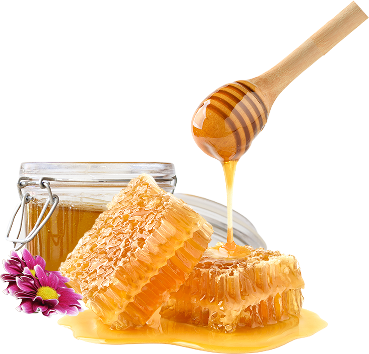 Pure Honey from Cayman Bees is offered by Cayman Bee Farm Ltd.